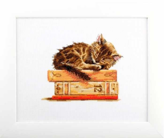 Cat's Dream Counted Cross Stitch Kit